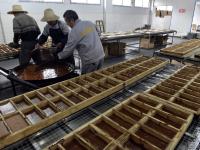 走进三峡库区“熬糖村” 红糖飘香勾人食欲