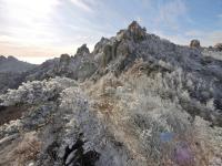 青岛崂山迎来冬景观赏季 现雾凇云海冰挂