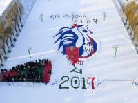 长春现近30米长“金鸡独立”雪地巨幅画作