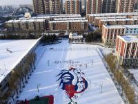 长春现近30米长“金鸡独立”雪地巨幅画作