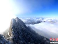  老君山现雪后云海奇观 琼楼玉宇美不胜收