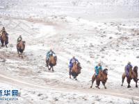 内蒙古雪域草原赛骆驼 牧民着民族盛装