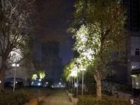 【醉美邵阳】市区新增两处夜景
