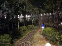 【醉美邵阳】市区新增两处夜景