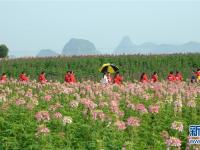 春节全国接待游客3.44亿人次 收入4233亿元