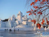  哈尔滨：“冰情雪韵”迎客来