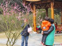 【醉美邵阳】早春赏花好时节