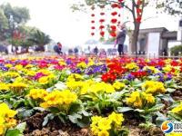 创“国卫”促邵阳蝶变