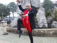 中国体育非物质文化遗产大成拳诠释中华武术风采