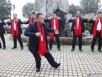 中国体育非物质文化遗产大成拳诠释中华武术风采