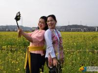 美女鲜花春意闹
