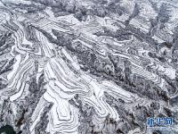  黄土高原降春雪 黑白分明如画卷