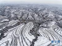  黄土高原降春雪 黑白分明如画卷