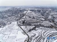  黄土高原降春雪 黑白分明如画卷