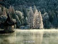 春寒料峭 庐山现雨凇和雾凇美景