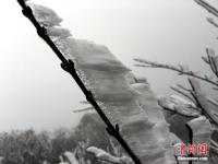 广东连山县金子山再降春雪现奇特冰桂