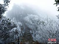广东连山县金子山再降春雪现奇特冰桂