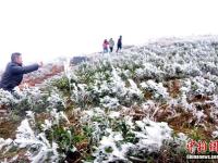 强冷空气横扫广西 高寒山区道路结冰