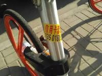 四川共享单车被丢弃树林 遭放火焚烧
