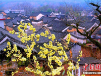 湖南永州零陵发现明清时期古建筑群