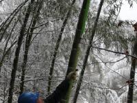 冰雪袭闽北致上万户停电 工人10小时恢复