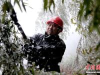 冰雪袭闽北致上万户停电 工人10小时恢复