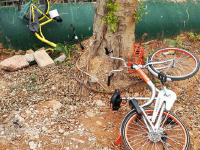 深圳共享单车遭石头“活埋”