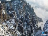 航拍神农架林区雪后初霁 原始森林玉琢银装