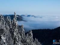 航拍神农架林区雪后初霁 原始森林玉琢银装