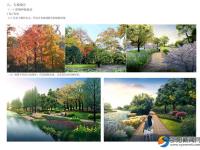 邵阳市体育中心桃花体育公园开工建设