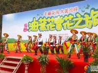 隆回沙坪：千亩花海醉游人