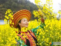 隆回沙坪：千亩花海醉游人
