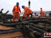 福建海底电缆被破坏 工人海上彻夜抢修