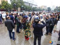 一大波美图惊艳展出 市民大呼过瘾