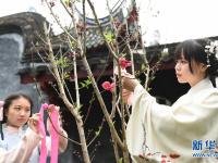  福州：花朝节赏花