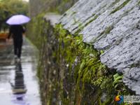 【醉美邵阳】春雨时节亦如画