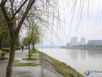 【醉美邵阳】春雨时节亦如画