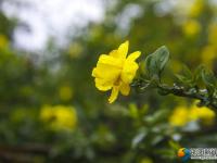 【醉美邵阳】春雨时节亦如画