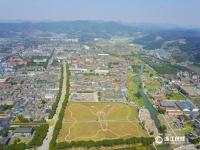 浙江宁波建巨大蝴蝶花田景观 占地3万余平米