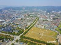 浙江宁波建巨大蝴蝶花田景观 占地3万余平米