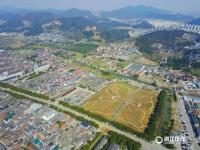 浙江宁波建巨大蝴蝶花田景观 占地3万余平米