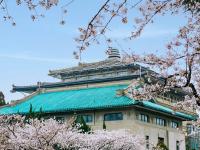 花都开好了