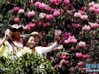  踏青赏花休闲度假