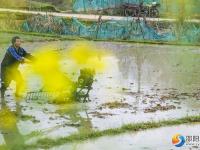 【醉美邵阳】春回大地耕田忙