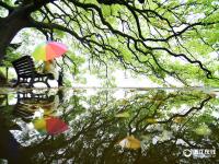  杭州雨量不减 明日雨止