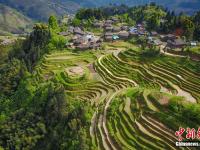  航拍贵州月亮山梯田 犹如大地“指纹”