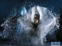  杨丽萍主演舞剧《孔雀之冬》舞动津城