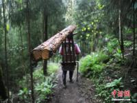 身怀绝技！深山女背夫日背千斤木料如履平地