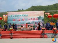 洞口罗溪举行第二届四八乌饭节