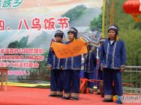 洞口罗溪举行第二届四八乌饭节